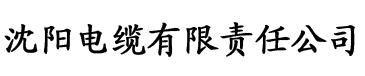 理论一片电缆厂logo